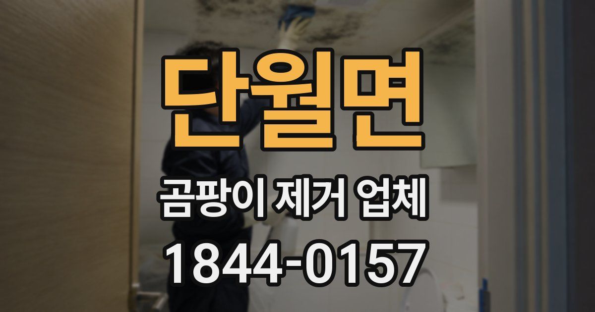 단월면 곰팡이 제거 업체