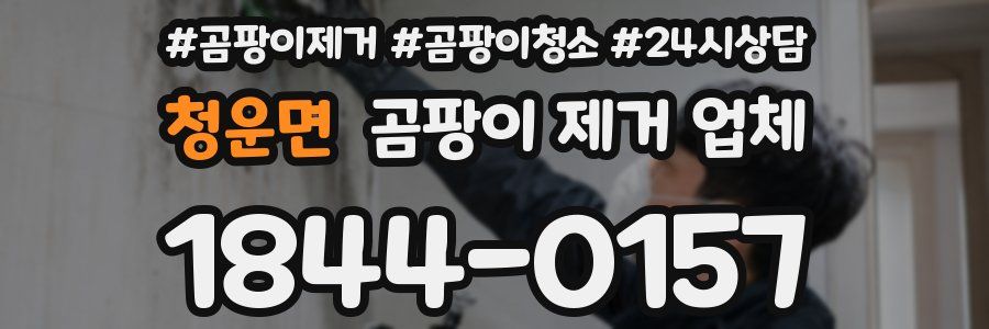 청운면 곰팡이 제거 업체