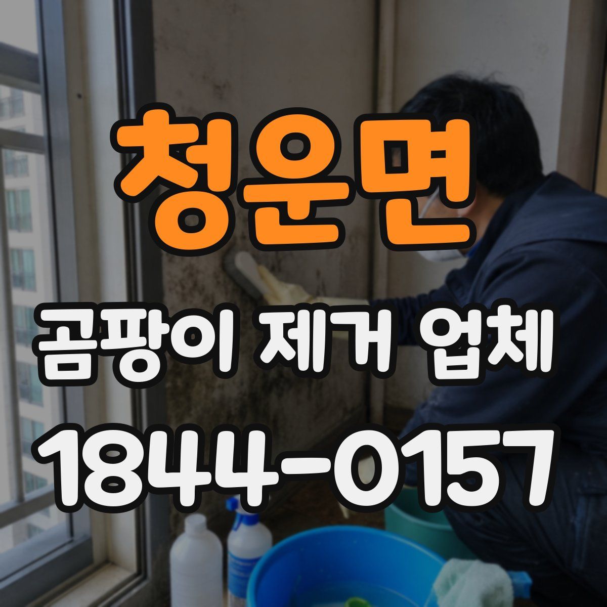 청운면 곰팡이 제거 업체