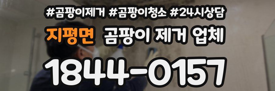 지평면 곰팡이 제거 업체