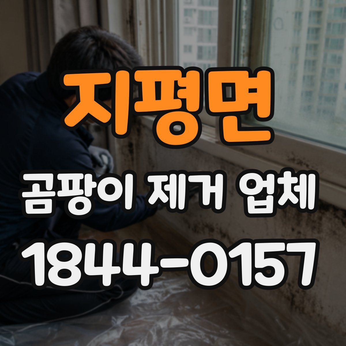지평면 곰팡이 제거 업체