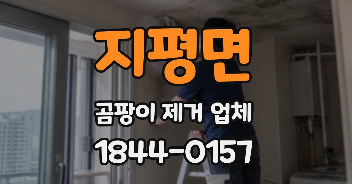 지평면 곰팡이 제거 업체