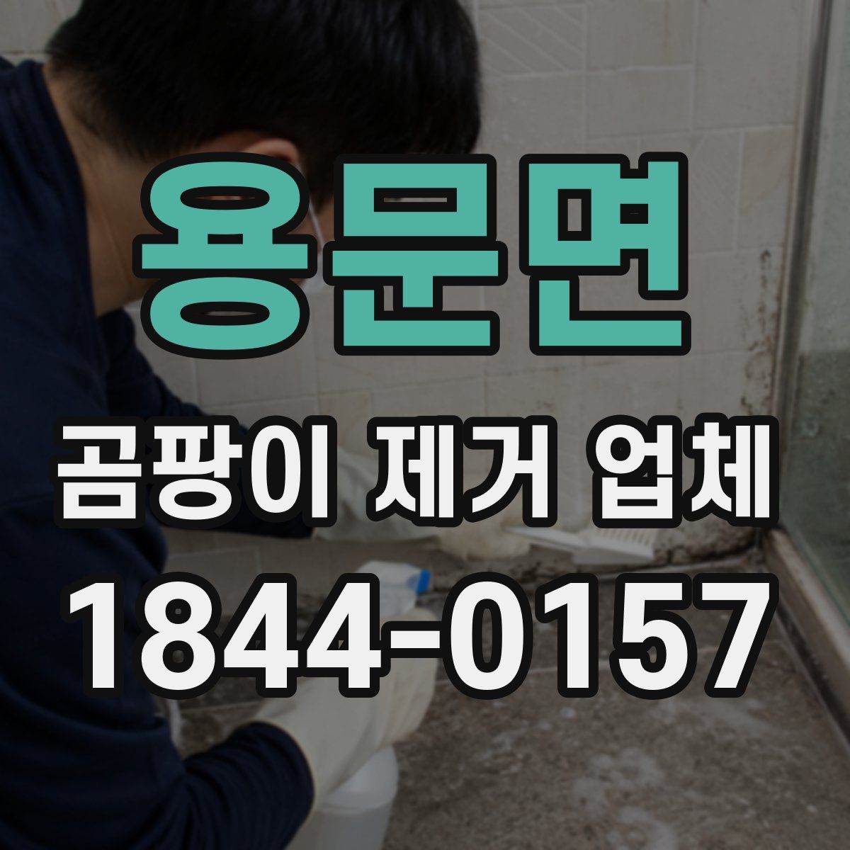 용문면 곰팡이 제거 업체