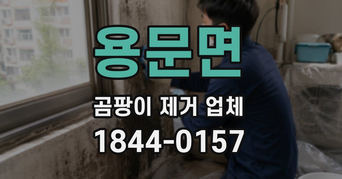 용문면 곰팡이 제거 업체