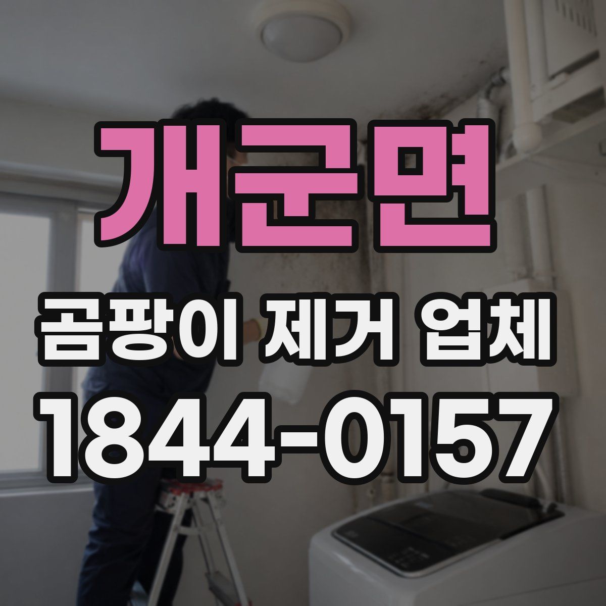 개군면 곰팡이 제거 업체