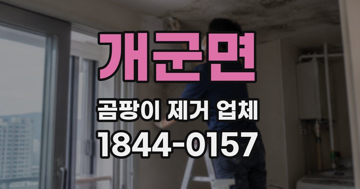 개군면 곰팡이 제거 업체