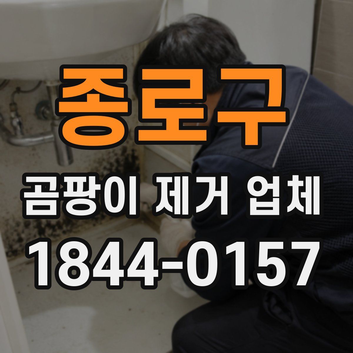 종로구 곰팡이 제거 업체