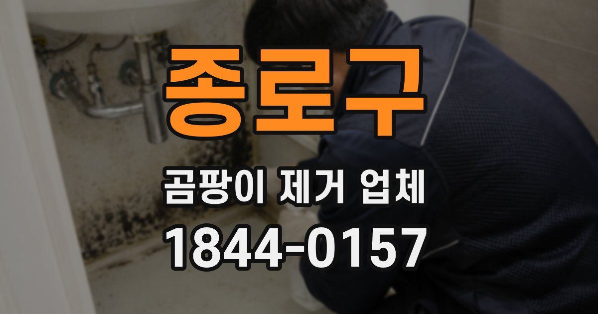종로구 곰팡이 제거 업체