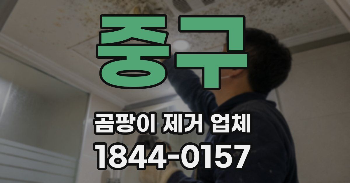 중구 곰팡이 제거 업체