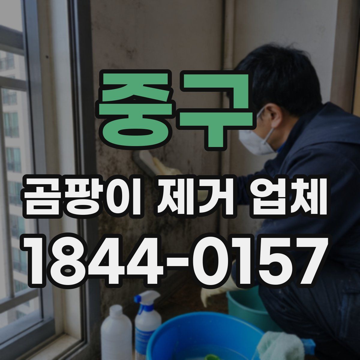 중구 곰팡이 제거 업체
