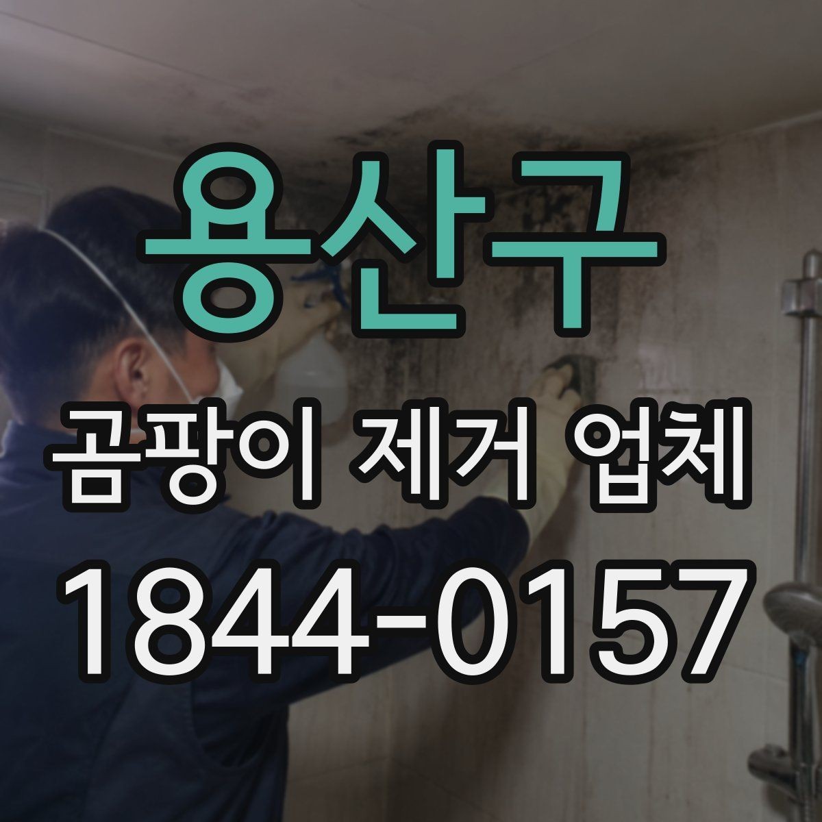 용산구 곰팡이 제거 업체 후기에서 확인할 핵심 포인트