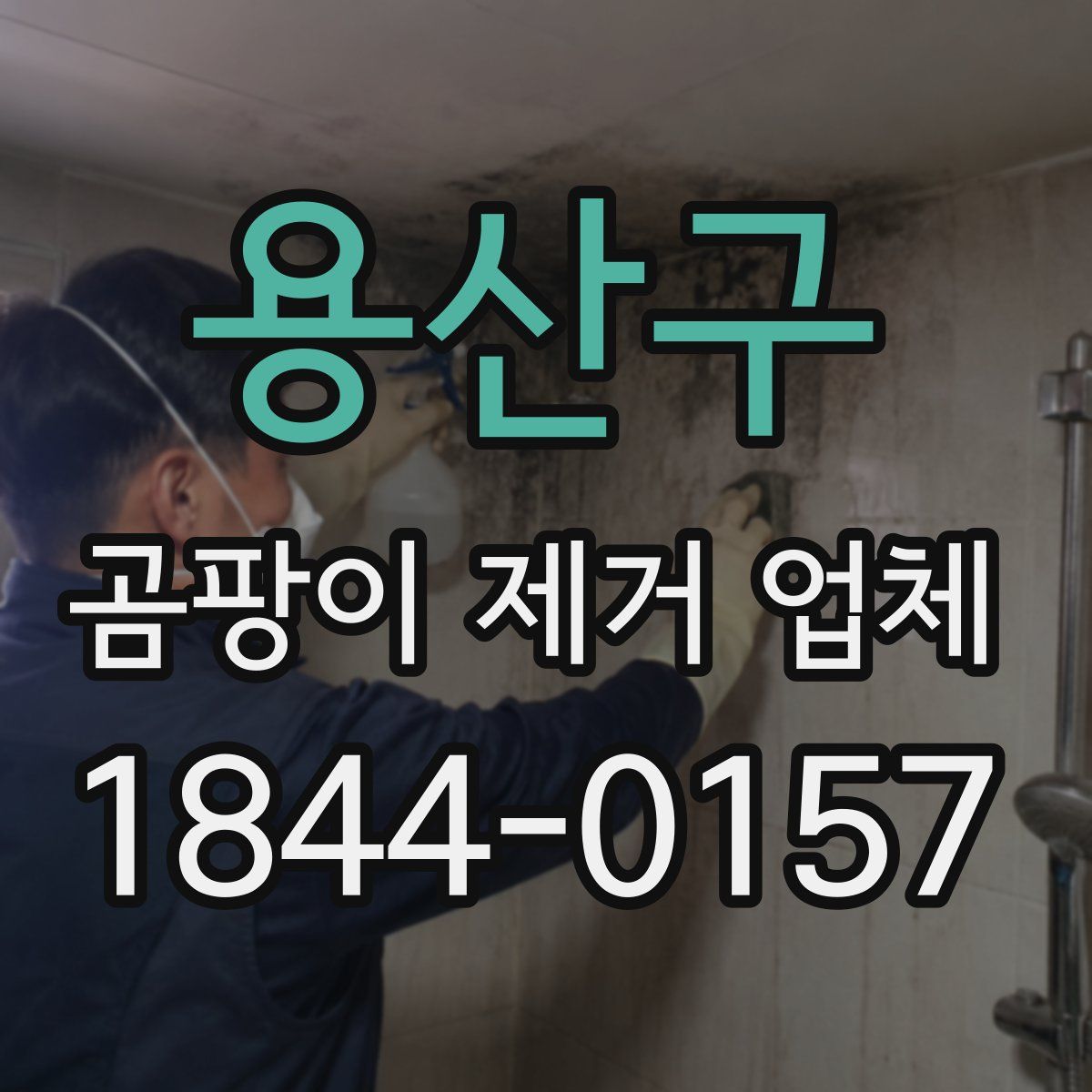 용산구 곰팡이 제거 업체