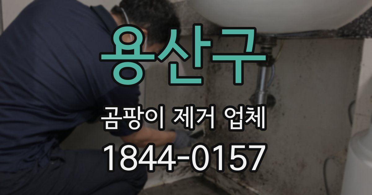 용산구 곰팡이 제거 업체