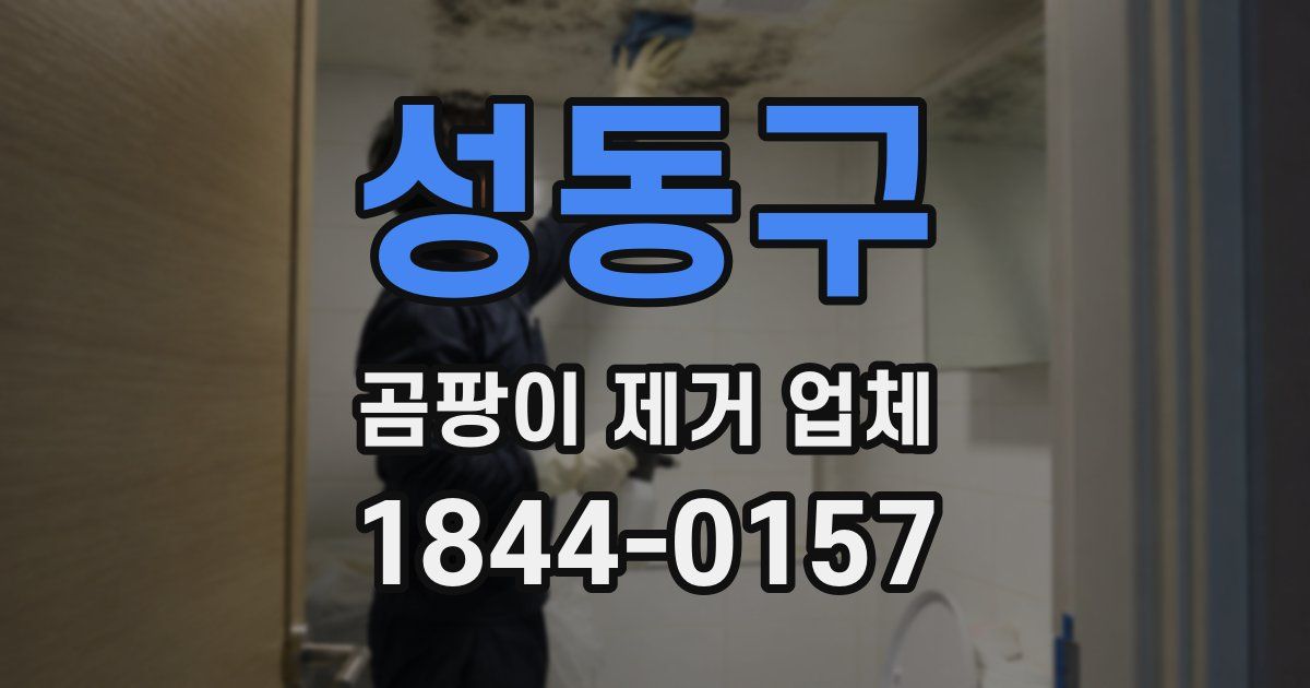 성동구 곰팡이 제거 업체