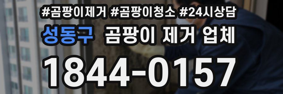 성동구 곰팡이 제거 업체