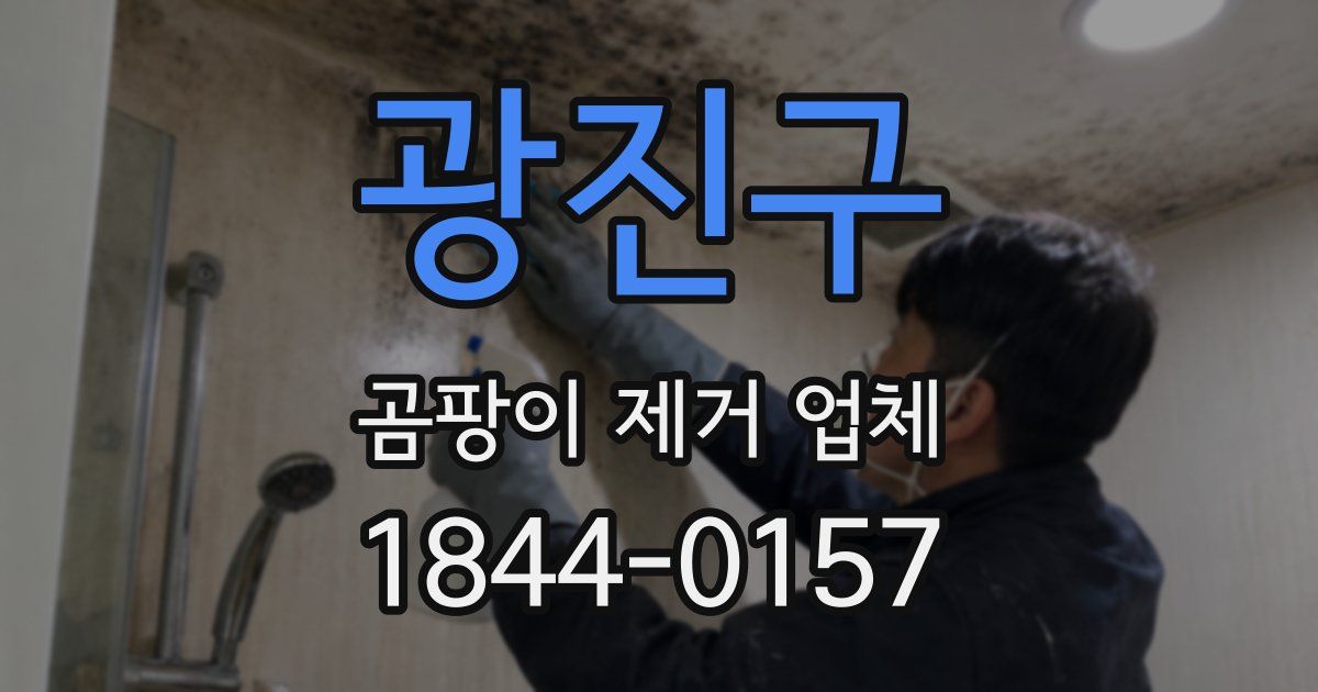 광진구 곰팡이 제거 업체