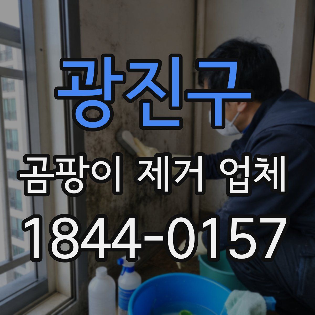 광진구 곰팡이 제거 업체