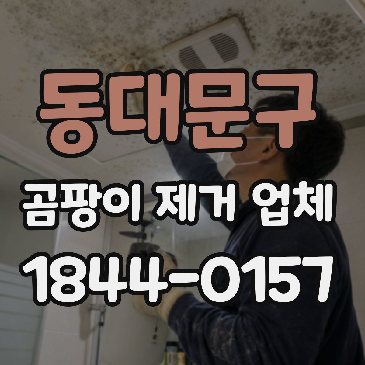 동대문구 곰팡이 제거 업체