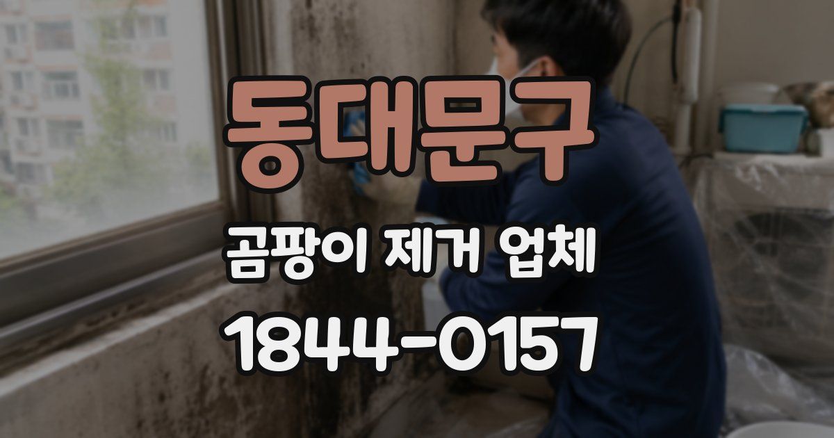 동대문구 곰팡이 제거 업체