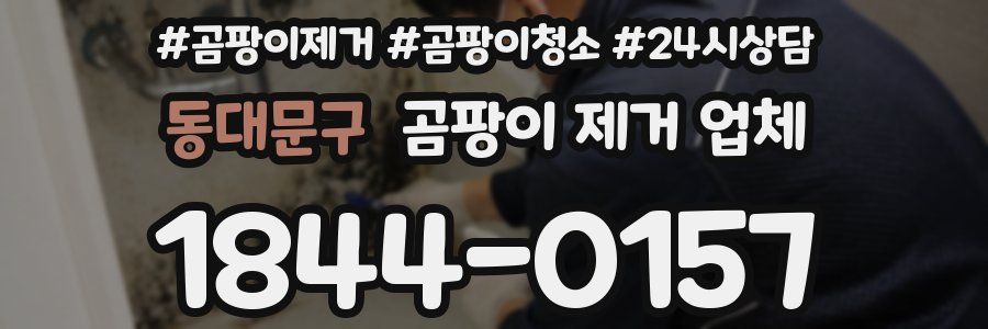 동대문구 곰팡이 제거 업체