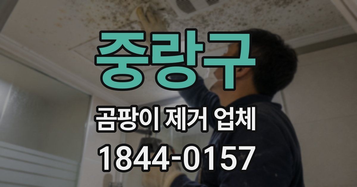 중랑구 곰팡이 제거 업체