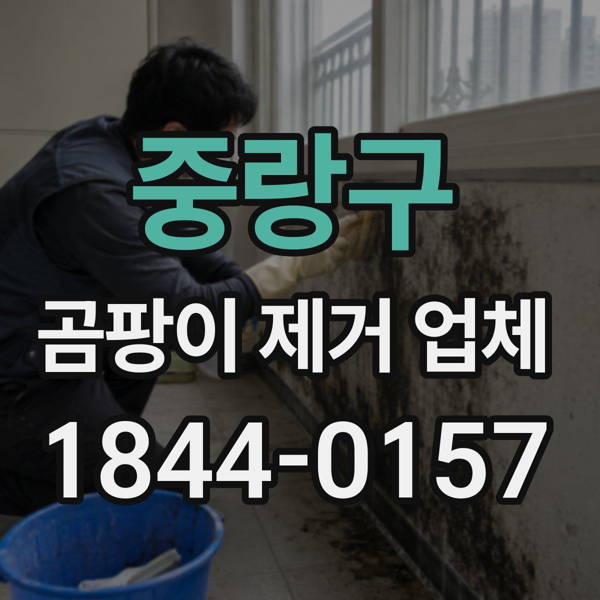 중랑구 곰팡이 제거 업체