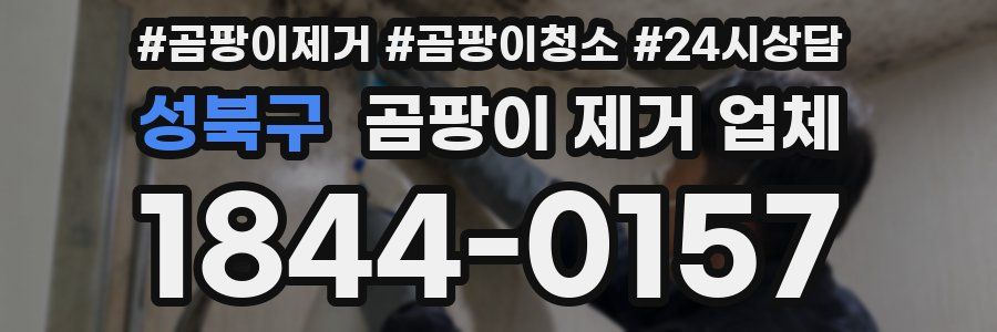 성북구 곰팡이 제거 업체