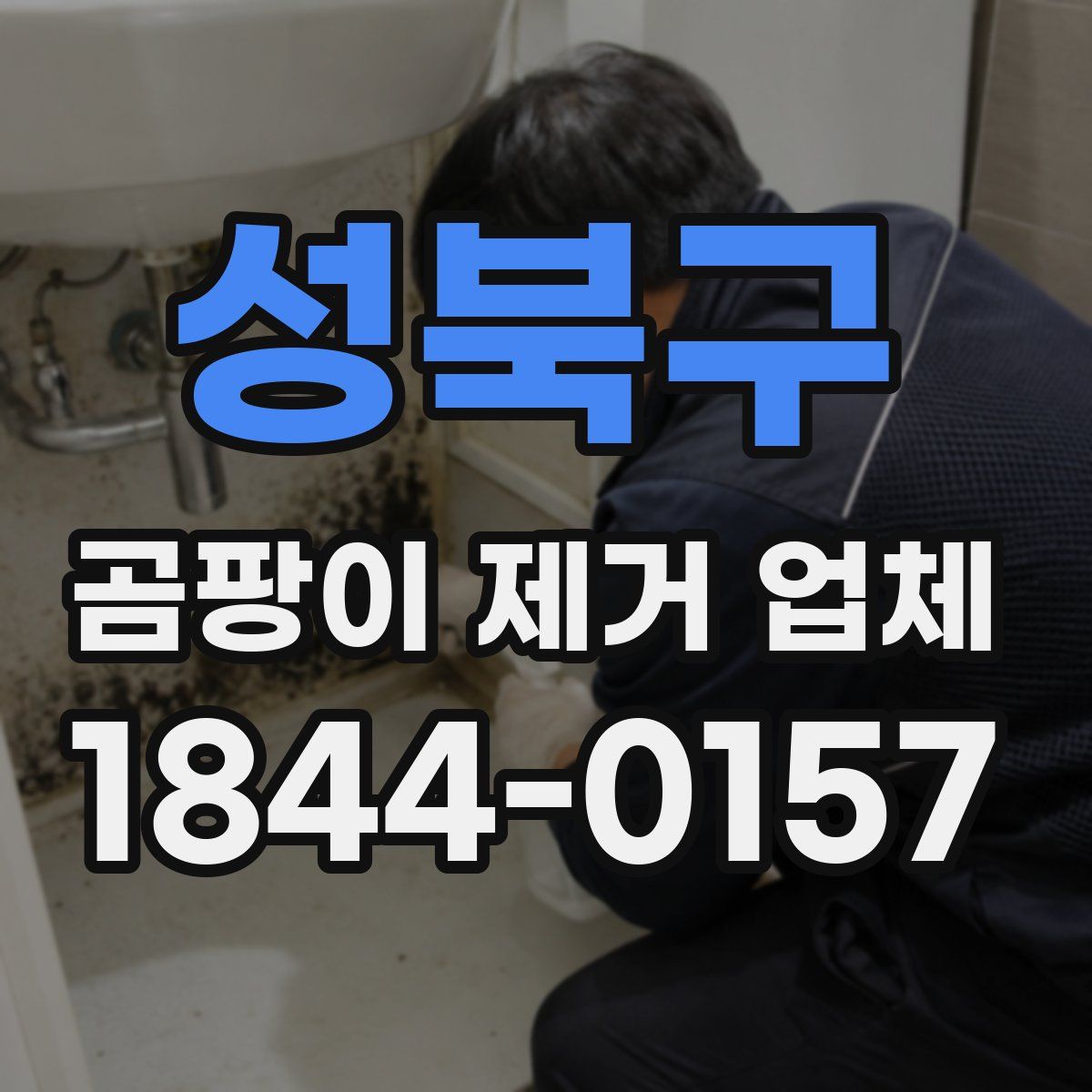 성북구 곰팡이 제거 업체