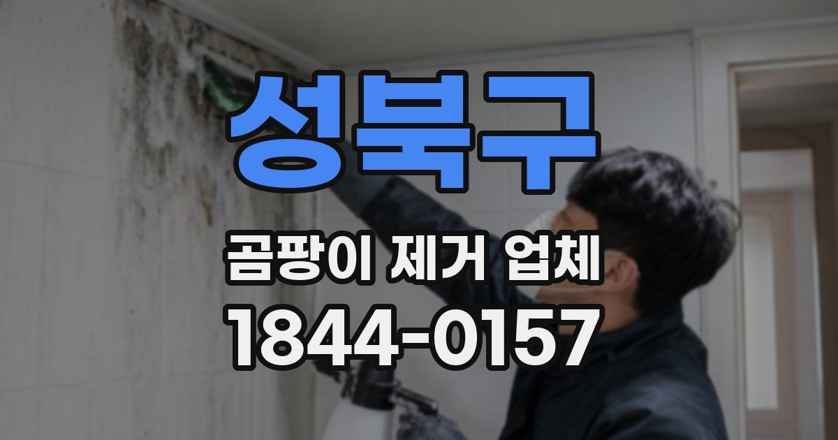 성북구 곰팡이 제거 업체
