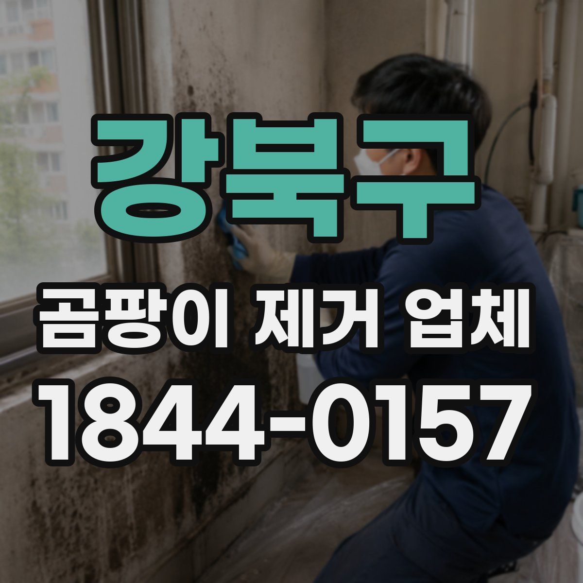 강북구 곰팡이 제거 업체