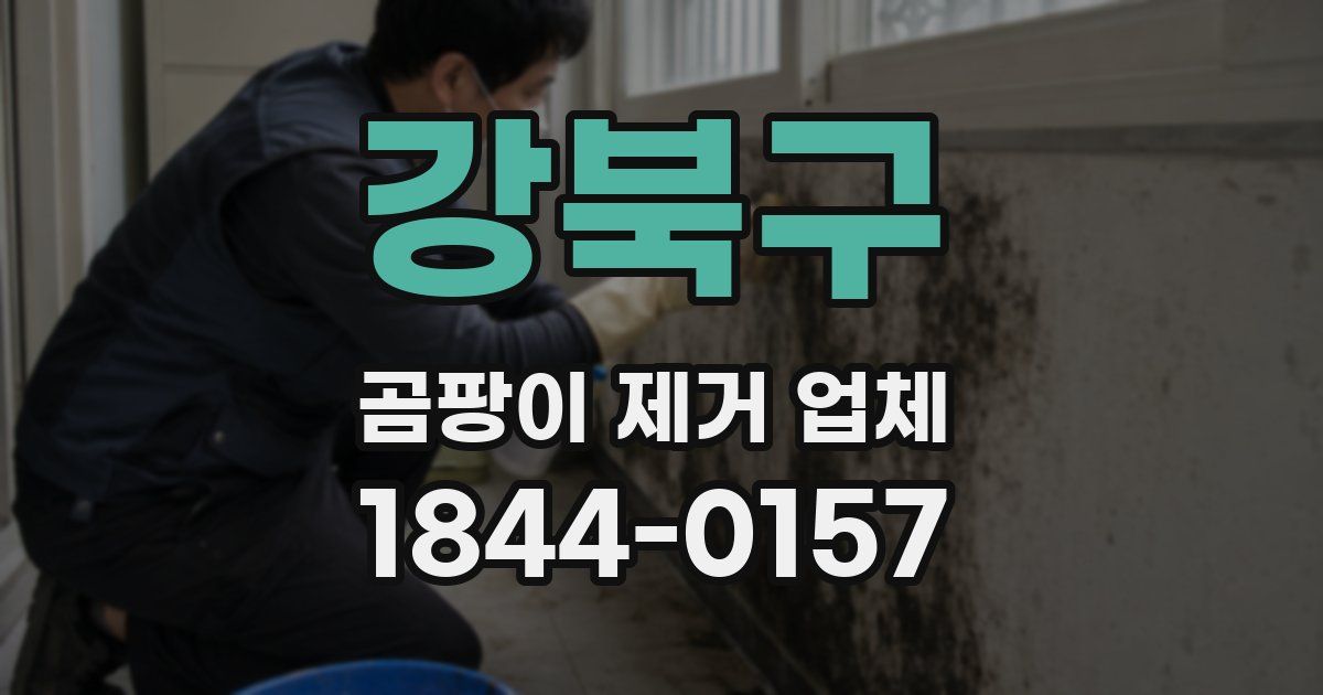 강북구 곰팡이 제거 업체