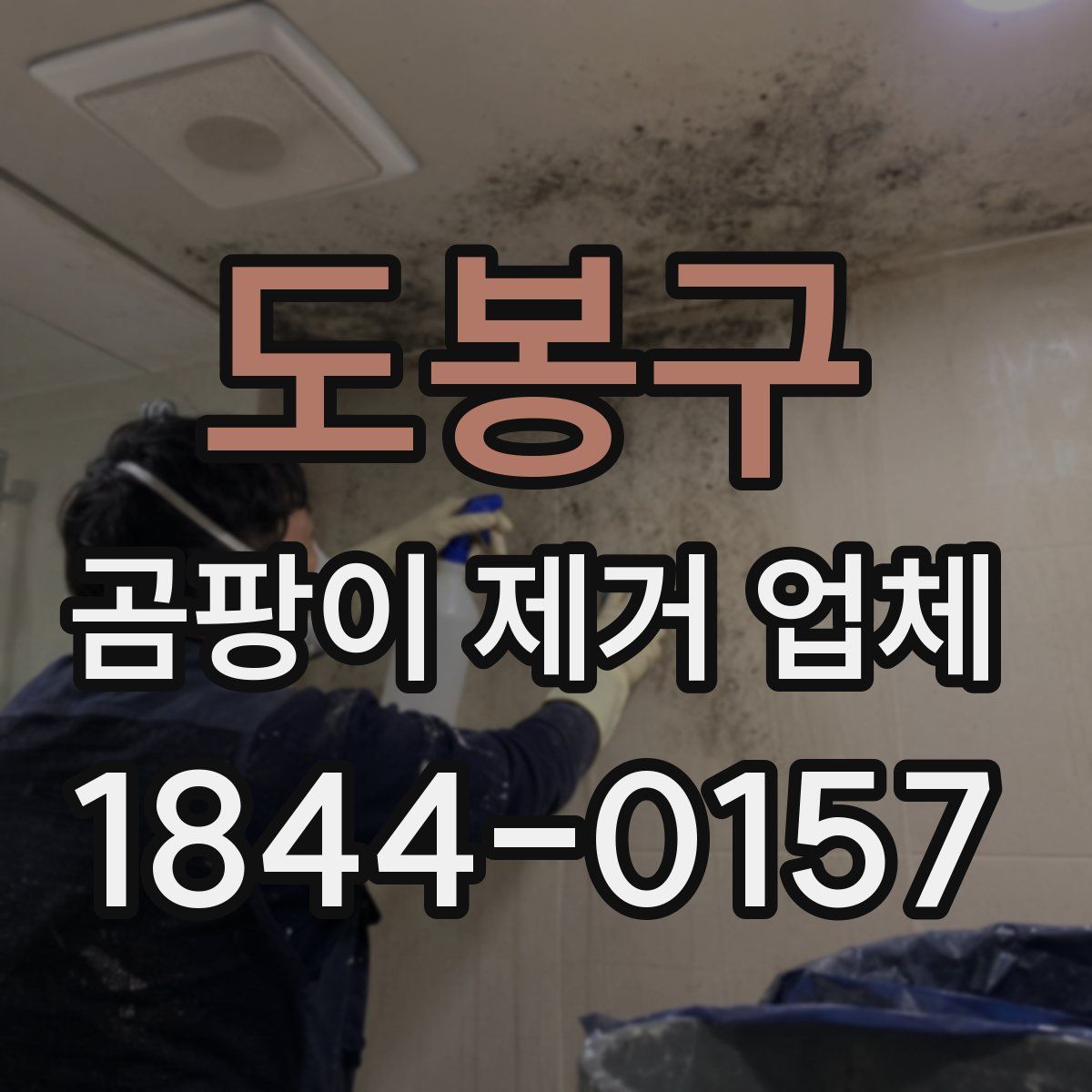 도봉구 곰팡이 제거 업체
