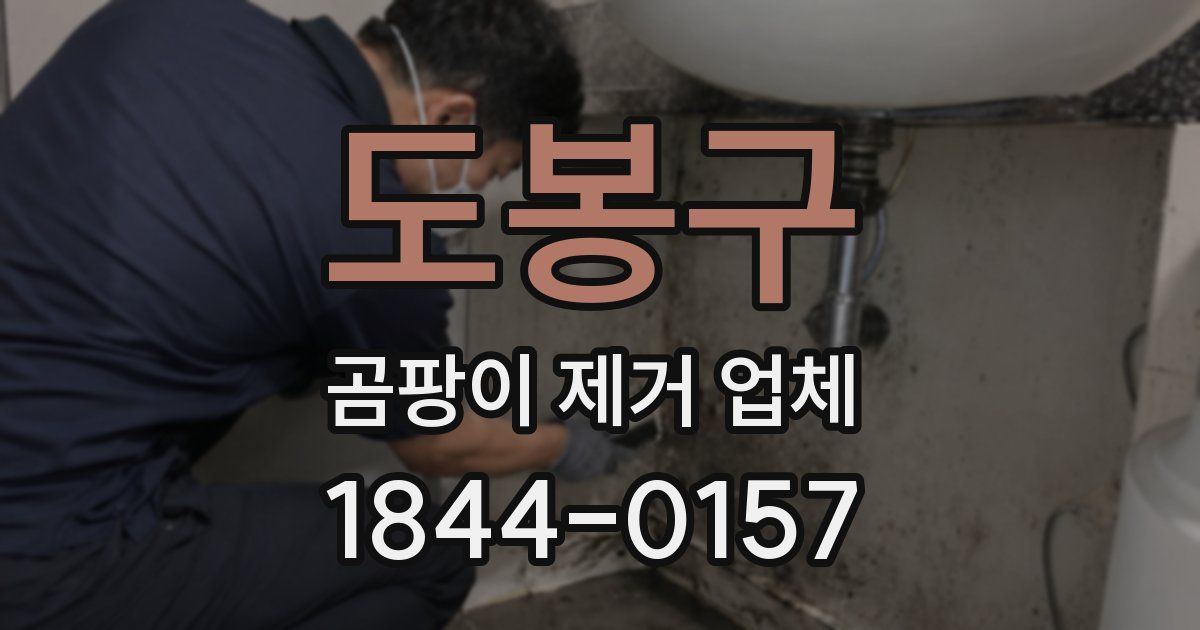 도봉구 곰팡이 제거 업체