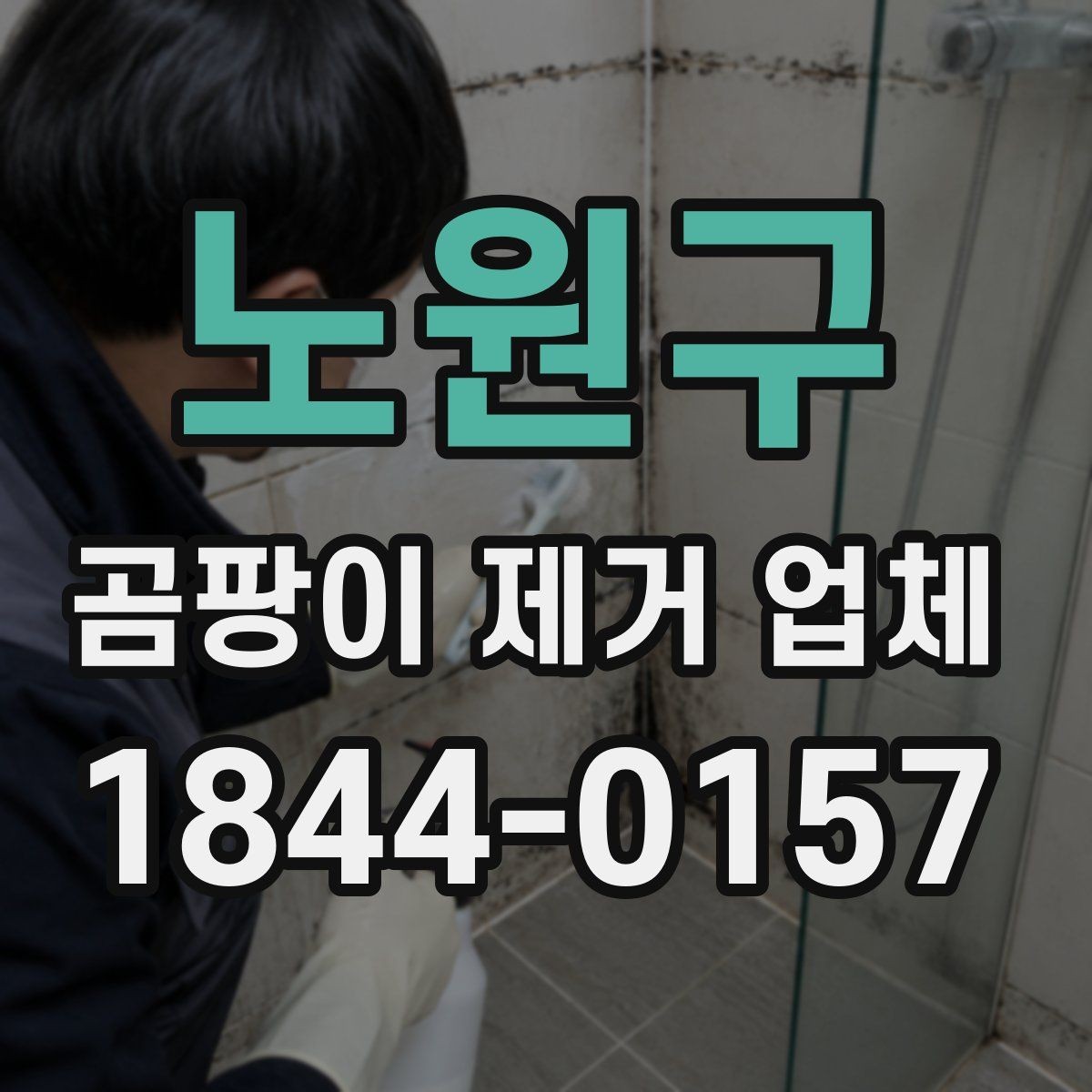노원구 곰팡이 제거 업체 벽면과 천장 오염을 나눠 진단하는 기준