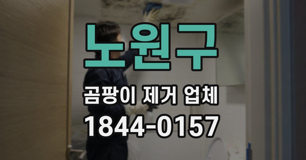 노원구 곰팡이 제거 업체