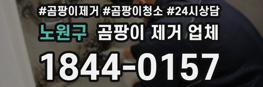 노원구 곰팡이 제거 업체