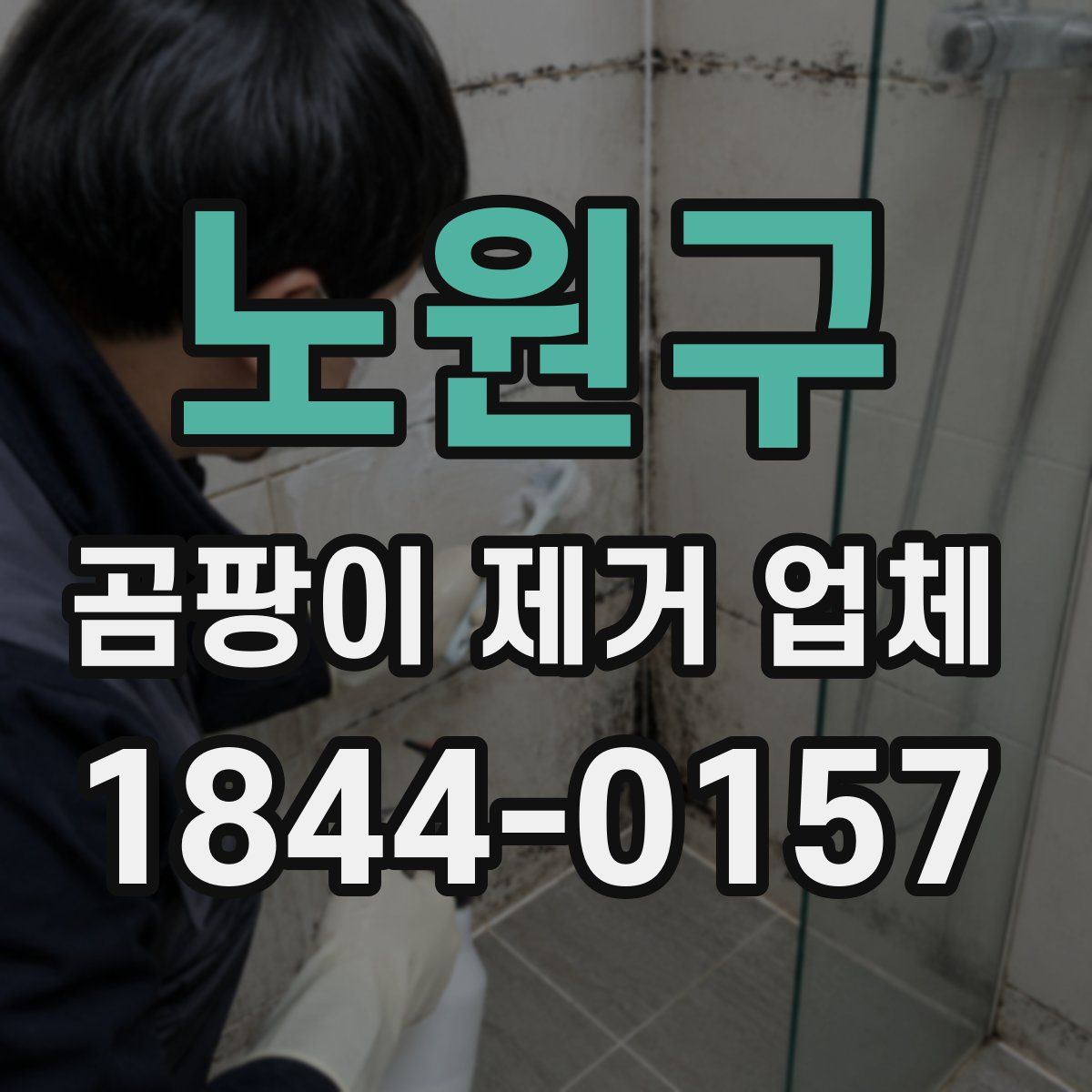 노원구 곰팡이 제거 업체