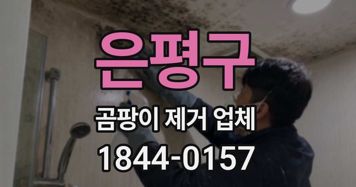 은평구 곰팡이 제거 업체
