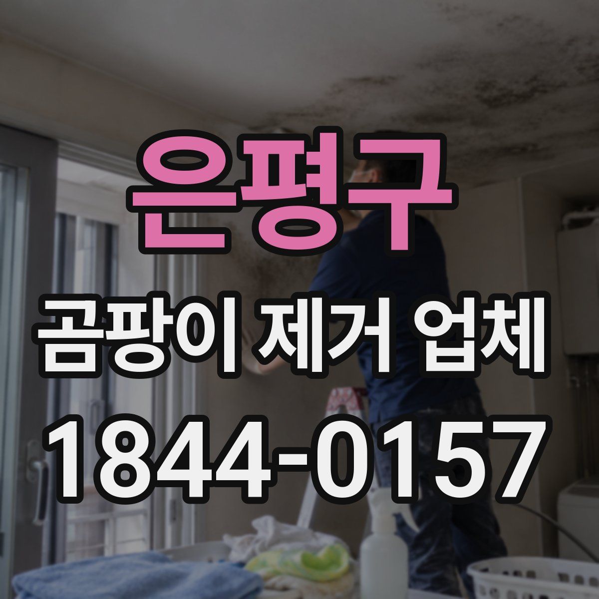 은평구 곰팡이 제거 업체