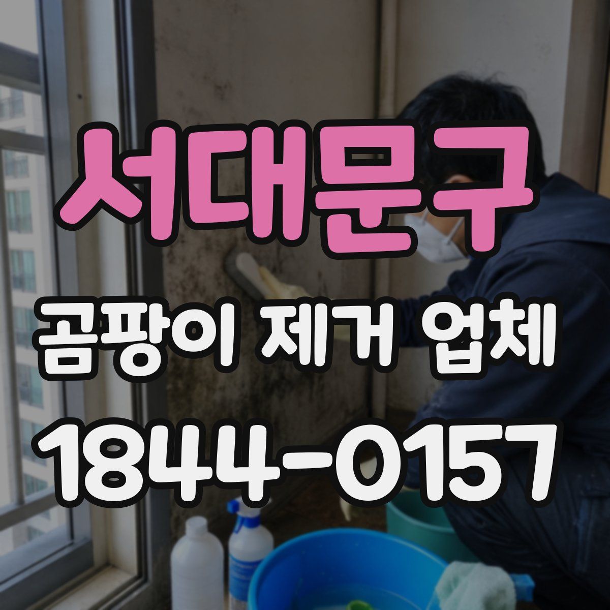 서대문구 곰팡이 제거 업체