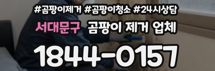 서대문구 곰팡이 제거 업체
