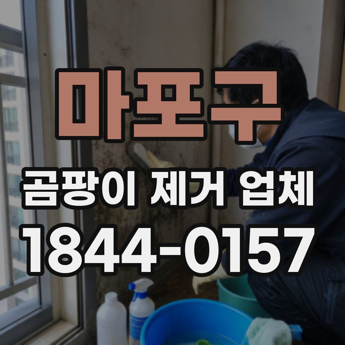 마포구 곰팡이 제거 업체