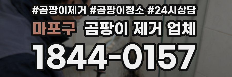 마포구 곰팡이 제거 업체