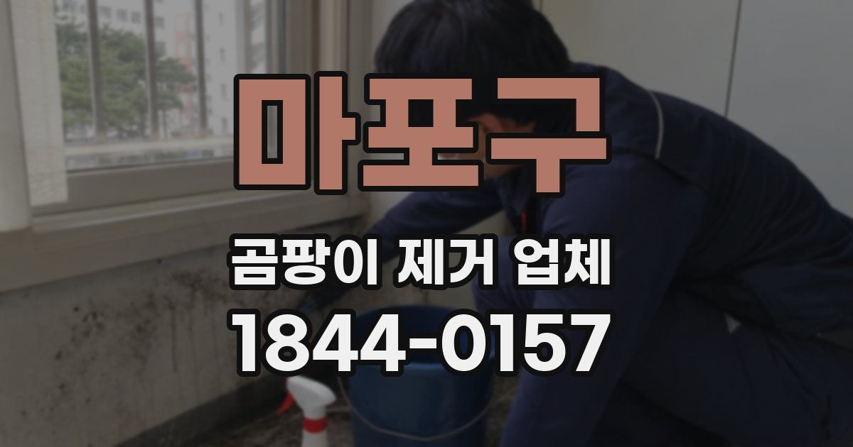 마포구 곰팡이 제거 업체