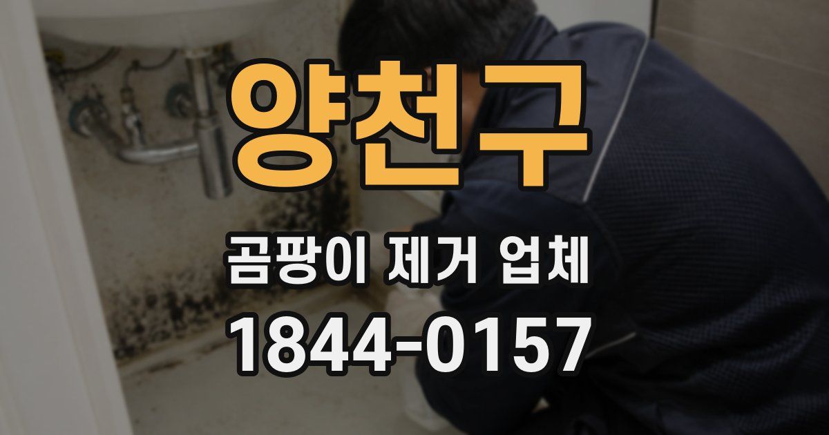 양천구 곰팡이 제거 업체