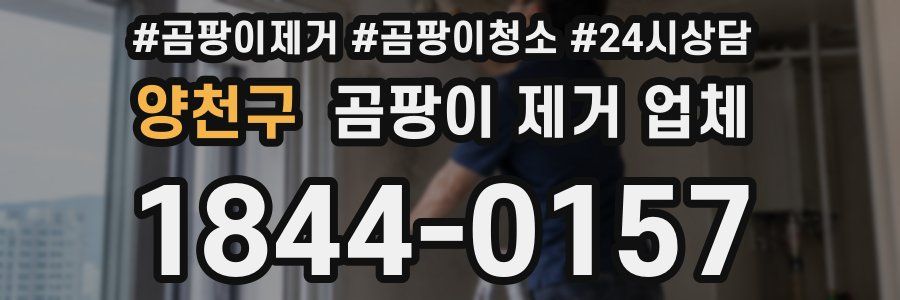 양천구 곰팡이 제거 업체