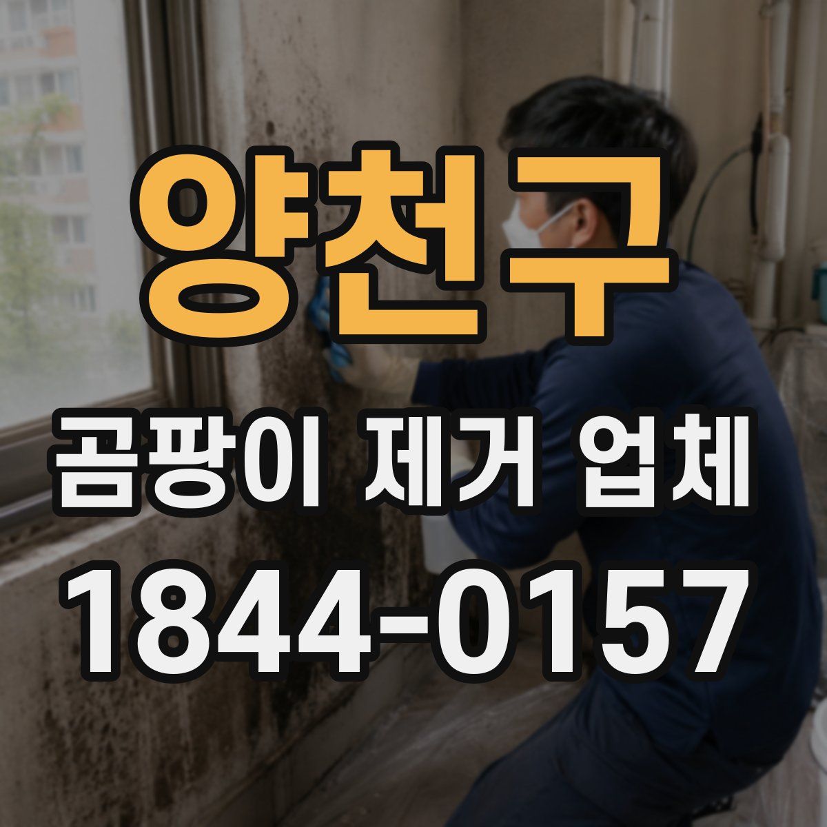 양천구 곰팡이 제거 업체