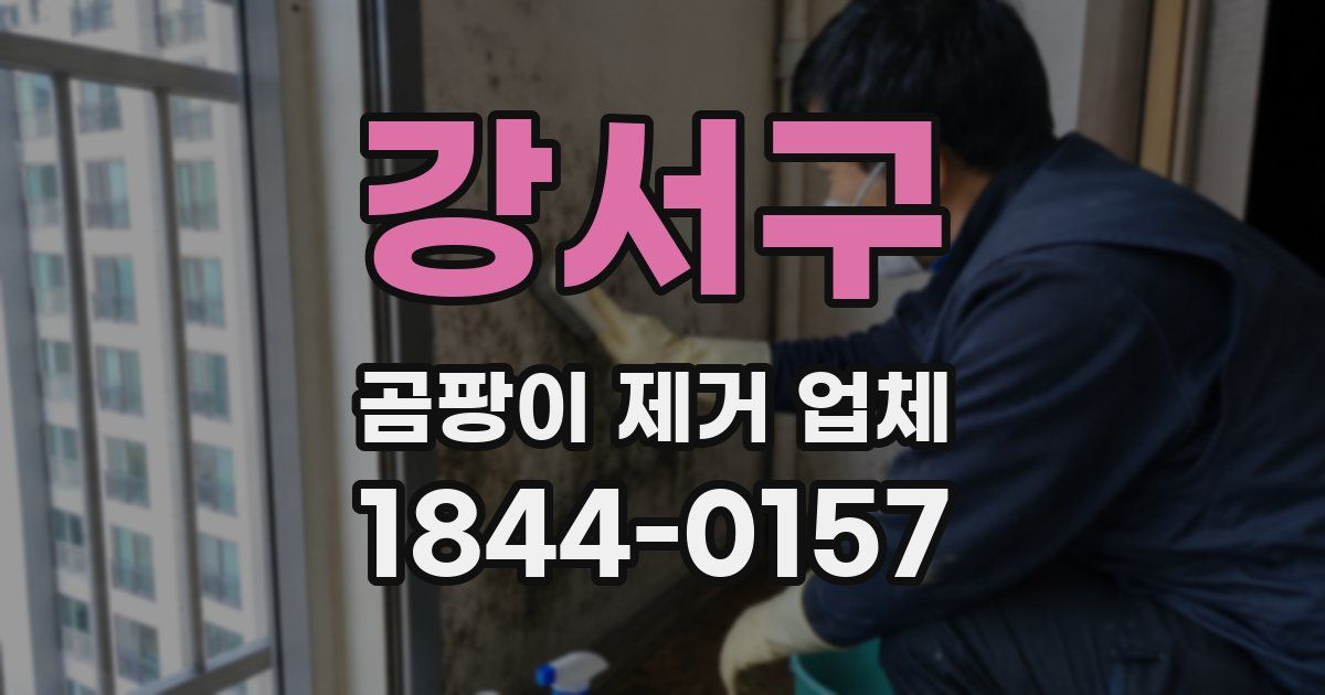 강서구 곰팡이 제거 업체
