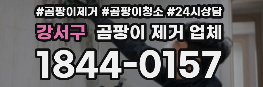 강서구 곰팡이 제거 업체