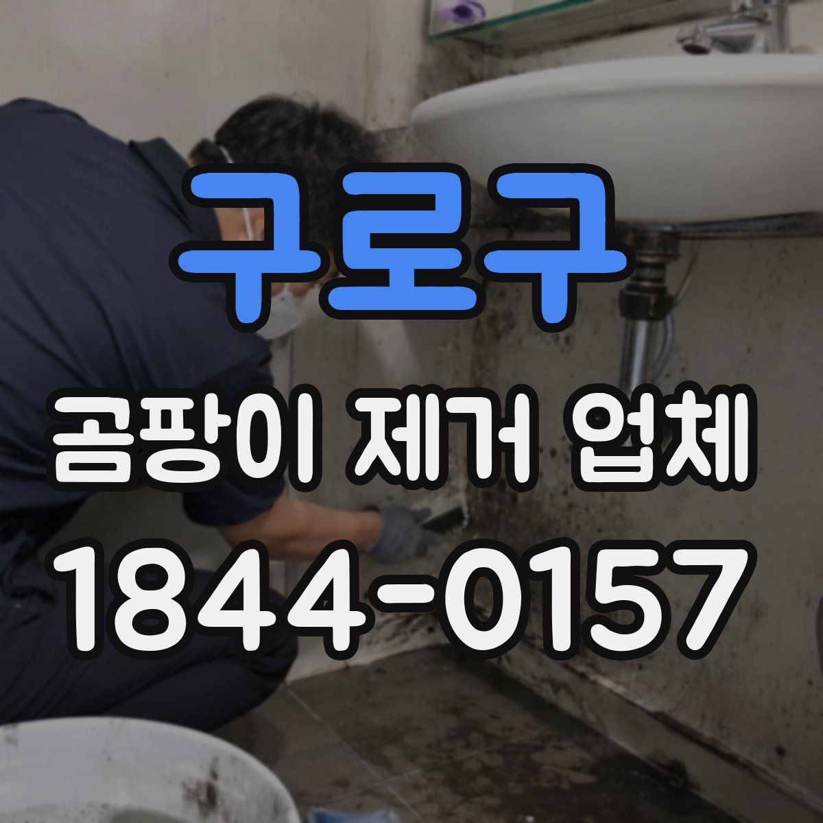 구로구 곰팡이 제거 업체